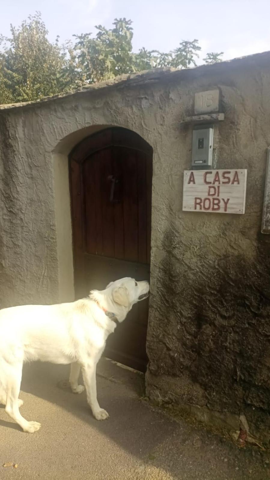 A Casa Di Roby Hotel Pinerolo Exterior foto